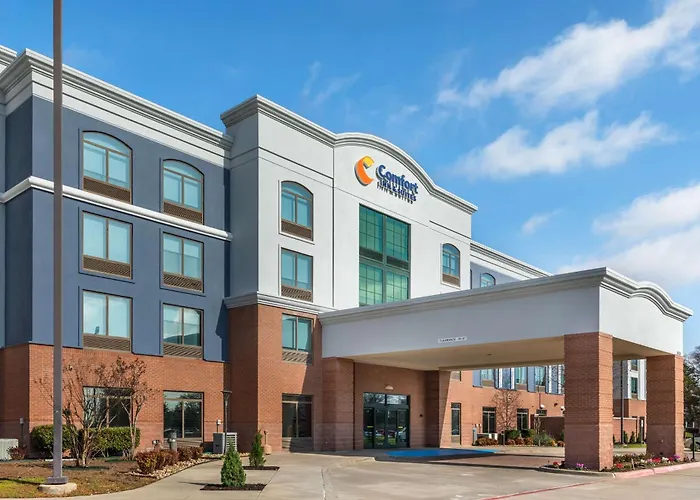 Spa Hotel: Comfort Inn & Suites Frisco East - Mckinney